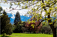 Le Parc
